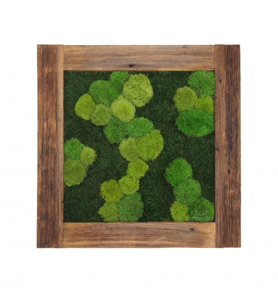 Painting - Wall Art made of pillow and flat moss in a 54x54 cm old wood frame